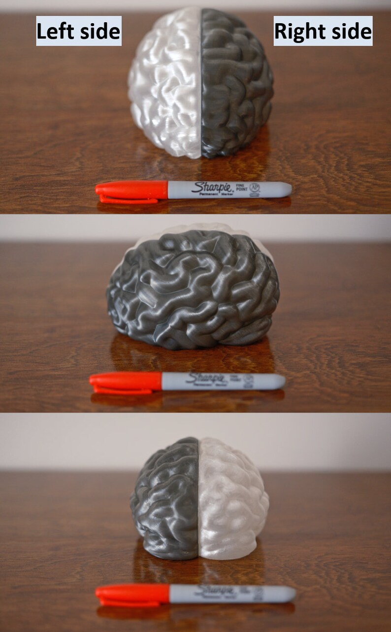 May include: A 3D printed model of a human brain, painted half white and half gray. The model is sitting on a wooden surface with a red and gray marker next to it. The words "Left side" and "Right side" are written above the model.