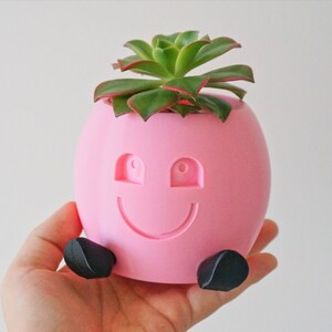 May include: A pink ceramic planter shaped like a smiling face with black feet, holding a green succulent plant.