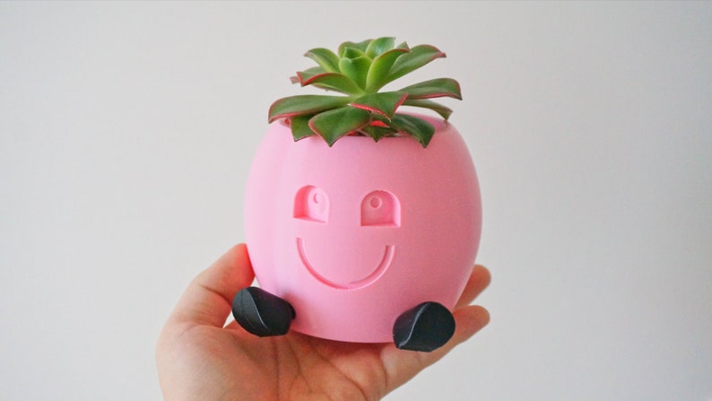 May include: A pink ceramic planter shaped like a smiling face with black feet, holding a green succulent plant.
