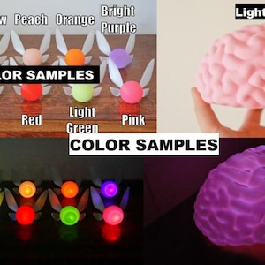 May include: The image showcases a variety of color samples for decorative items. The top section displays fairy-like ornaments in various colors, with the text "COLOR SAMPLES" above. A light pink brain-shaped object is also shown. The bottom section shows the fairy ornaments illuminated.