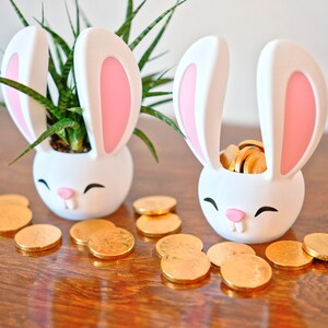 May include: Two white bunny-shaped planters, one with a green succulent plant and the other filled with gold chocolate coins. The planters have pink ears and cute faces.