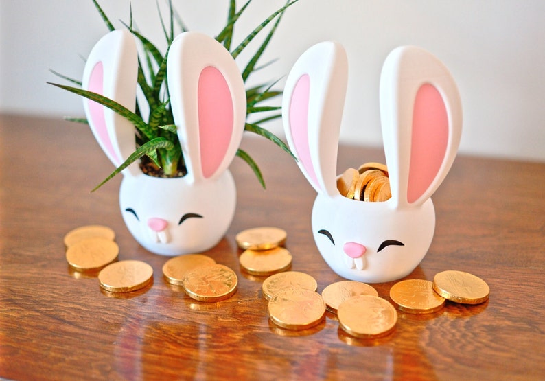 May include: Two white bunny-shaped planters, one with a green succulent plant and the other filled with gold chocolate coins. The planters have pink ears and cute faces.