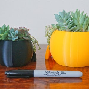 May include: Two small, round planters, one black and one bright yellow, each filled with succulents. A black Sharpie marker lies in front of the planters on a wooden surface. The planters have small, rounded feet.