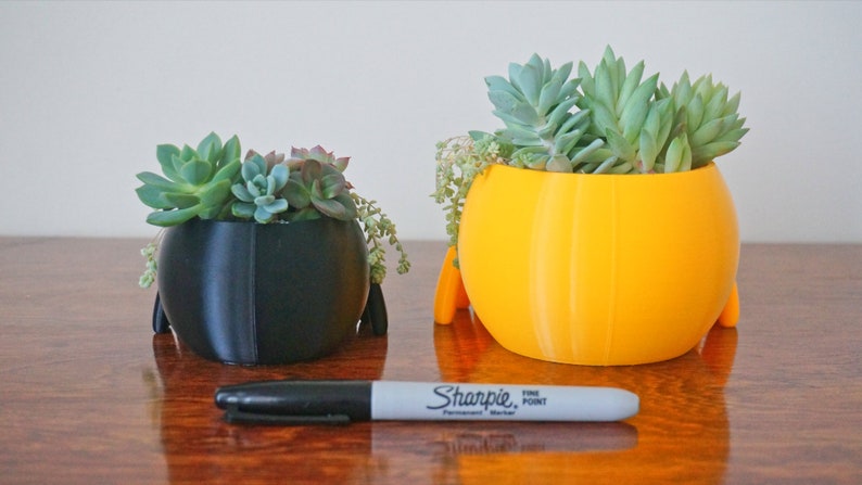 May include: Two small, round planters, one black and one bright yellow, each filled with succulents. A black Sharpie marker lies in front of the planters on a wooden surface. The planters have small, rounded feet.