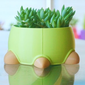 Turtle Planter: Succulent, Cactus, Stationery Organizer image 9