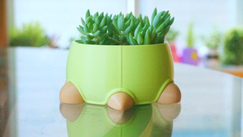 Turtle Planter: Succulent, Cactus, Stationery Organizer image 9