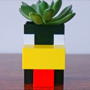 May include: A black, white, yellow, and red planter with a succulent plant growing inside. The planter is shaped like a face with a yellow mouth and a red tongue.