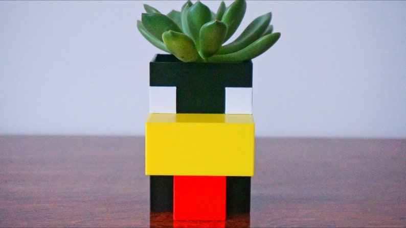 May include: A black, white, yellow, and red planter with a succulent plant growing inside. The planter is shaped like a face with a yellow mouth and a red tongue.
