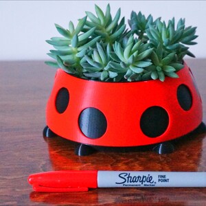 Puede incluir: Una maceta roja con forma de mariquita llena de suculentas verdes. La maceta tiene lunares y patas negras. Un rotulador Sharpie rojo se coloca delante de la maceta, sirviendo de referencia de tama&ntilde;o. La maceta est&aacute; sobre una superficie de madera.
