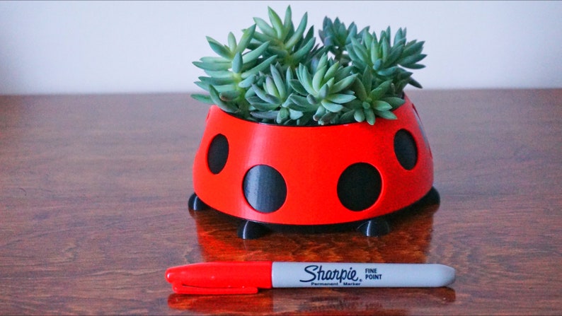 Puede incluir: Una maceta roja con forma de mariquita llena de suculentas verdes. La maceta tiene lunares y patas negras. Un rotulador Sharpie rojo se coloca delante de la maceta, sirviendo de referencia de tama&ntilde;o. La maceta est&aacute; sobre una superficie de madera.