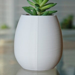 May include: A white ceramic planter with a smooth, textured finish. A small succulent plant with green leaves is growing inside the planter.