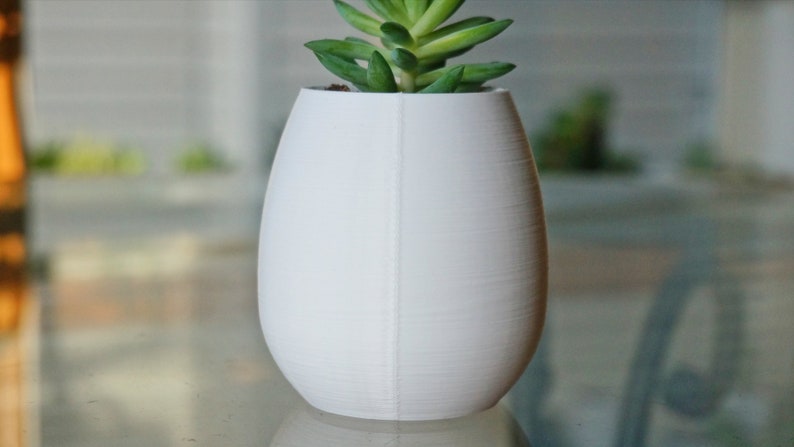 May include: A white ceramic planter with a smooth, textured finish. A small succulent plant with green leaves is growing inside the planter.