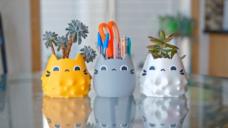Suspicious Cat Planter: Kawaii Pen & Pencil Holder, Succulent Pot image 9