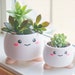 see more listings in the Cute Planters/Holders section