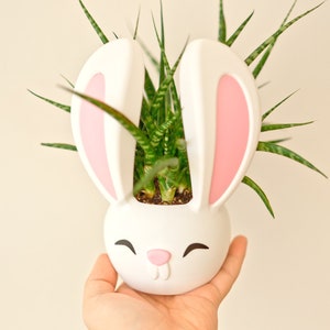May include: White ceramic bunny planter with pink ears, holding a green succulent plant.