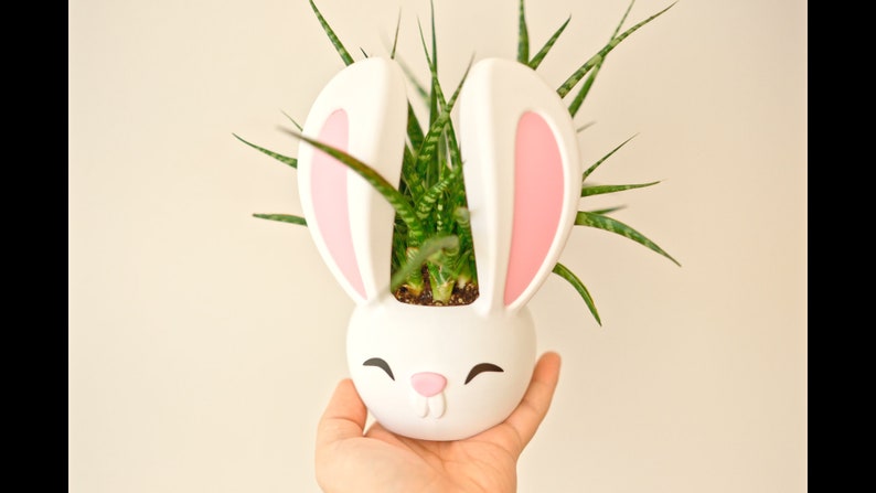 May include: White ceramic bunny planter with pink ears, holding a green succulent plant.