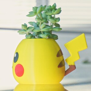 May include: A yellow Pikachu-shaped planter with a brown tail and a green succulent plant growing inside.