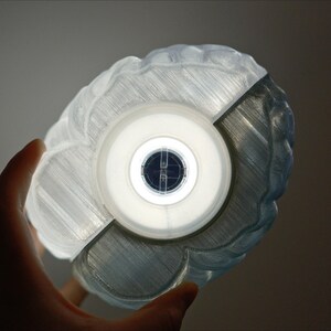 May include: A white 3D printed brain-shaped lamp with a clear plastic shade and a white light bulb.