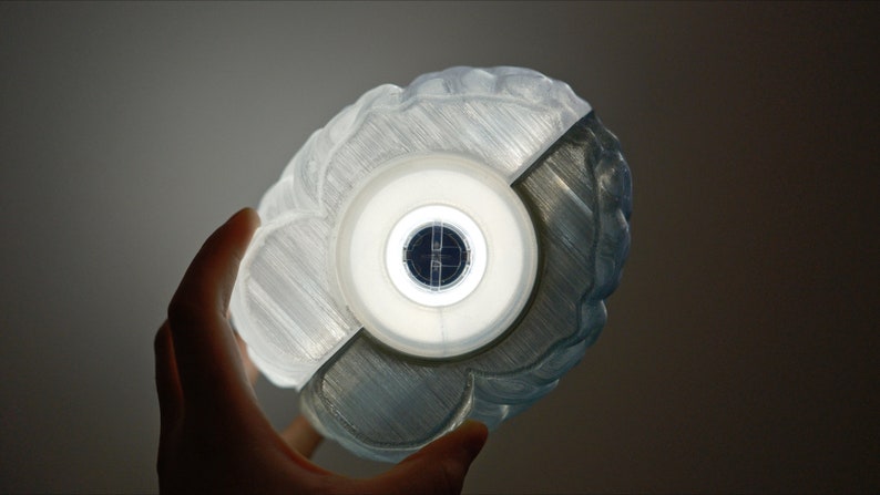 May include: A white 3D printed brain-shaped lamp with a clear plastic shade and a white light bulb.