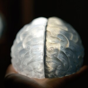 May include: A clear glass sculpture of a human brain, with intricate details and a textured surface.