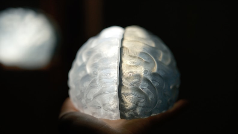 May include: A clear glass sculpture of a human brain, with intricate details and a textured surface.