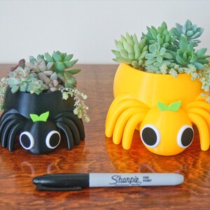 May include: Two whimsical spider-shaped planters, one black and one yellow, each filled with succulents. The planters have large, cartoonish eyes and eight legs. A black Sharpie marker is placed in front of the planters.