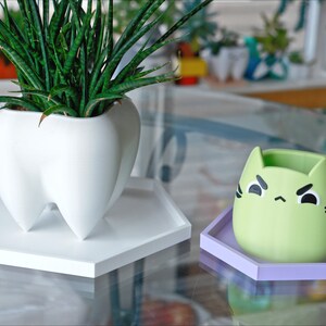 May include: Two plant pots, one shaped like a tooth and the other shaped like a cat, both with white hexagonal trays. The tooth pot is white and holds a green plant. The cat pot is green with black eyes and a black frown and is empty.