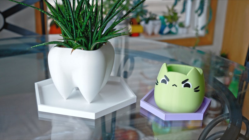 May include: Two plant pots, one shaped like a tooth and the other shaped like a cat, both with white hexagonal trays. The tooth pot is white and holds a green plant. The cat pot is green with black eyes and a black frown and is empty.