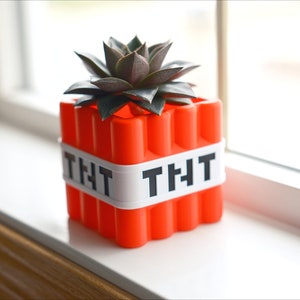 May include: A bright orange planter shaped like a Minecraft TNT block with a white band that says "TNT" on it. A small succulent plant is growing in the planter.
