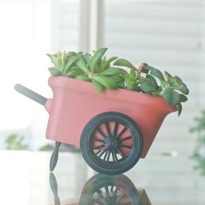 May include: A pink miniature wheelbarrow planter filled with green succulents. The wheelbarrow has a black wheel and a black handle.