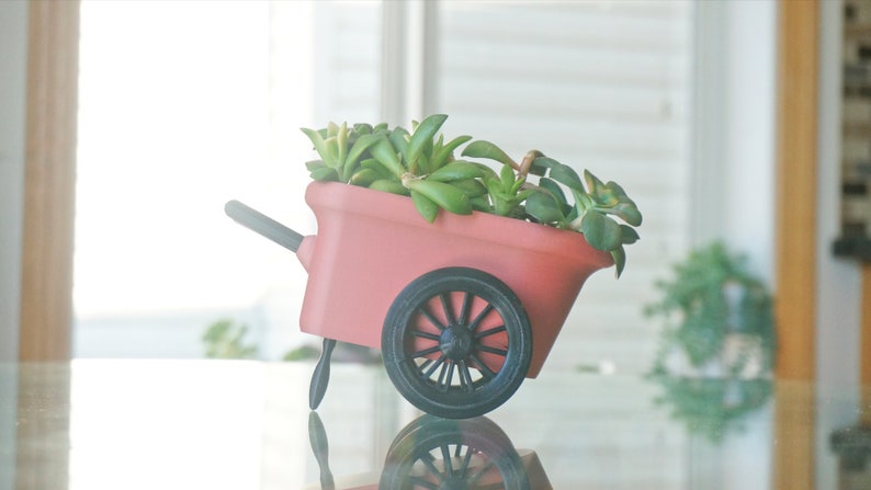 May include: A pink miniature wheelbarrow planter filled with green succulents. The wheelbarrow has a black wheel and a black handle.
