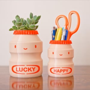 May include: Two light pink, bottle-shaped containers with orange lids and smiling faces. One holds a succulent plant, the other pens and orange scissors. The word "LUCKY" is on one, "HAPPY" on the other.