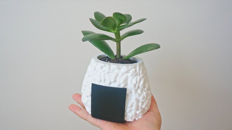 Puede incluir: Una maceta de cer&aacute;mica blanca con forma de bola de arroz japonesa, o onigiri, con una peque&ntilde;a planta suculenta verde creciendo en su interior. La maceta tiene una etiqueta negra en la parte delantera.