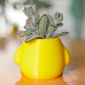 May include: A bright yellow, uniquely shaped planter pot with a succulent plant. The pot has a rounded design with two side bulges. The succulent has green and gray leaves with reddish edges. The pot is sitting on a wooden surface.
