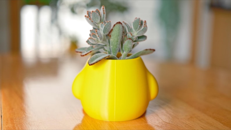 May include: A bright yellow, uniquely shaped planter pot with a succulent plant. The pot has a rounded design with two side bulges. The succulent has green and gray leaves with reddish edges. The pot is sitting on a wooden surface.