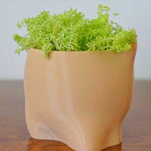 Puede incluir: Una maceta de color marr&oacute;n claro, impresa en 3D, con una forma org&aacute;nica &uacute;nica. La maceta est&aacute; llena de una peque&ntilde;a planta suculenta verde.