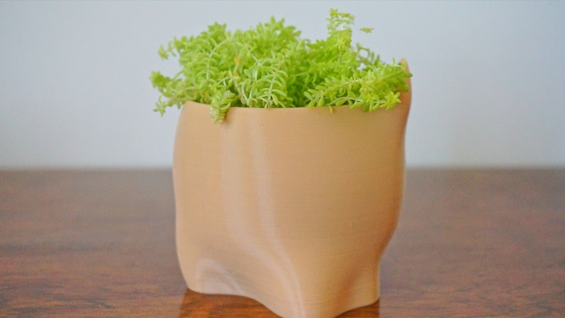 Puede incluir: Una maceta de color marr&oacute;n claro, impresa en 3D, con una forma org&aacute;nica &uacute;nica. La maceta est&aacute; llena de una peque&ntilde;a planta suculenta verde.