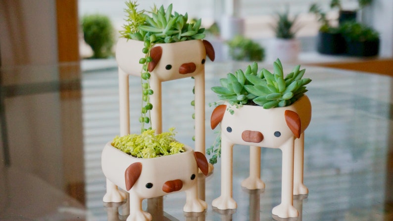 May include: Three ceramic planters shaped like dogs with brown ears and noses, each holding a different type of succulent plant.