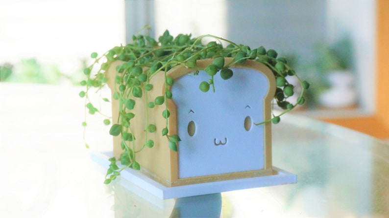 May include: A white and brown ceramic planter shaped like a slice of bread with a cute cartoon face. The planter is filled with a green succulent plant.
