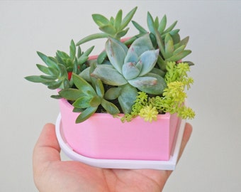多肉 ハート型プランター ハート柄の植木鉢 | 多肉植物プランター - Etsy 日本
