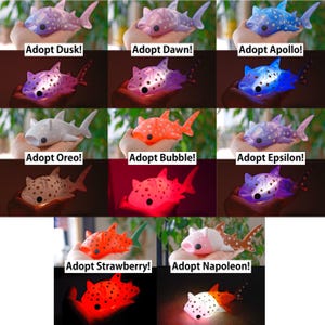 Cat Whale Shark Fidget Light, Ocean Sea Life Fidget Night Light, Aquatic Office Room Decor, Marine Biology Battery Powered Novelty Gift image 2