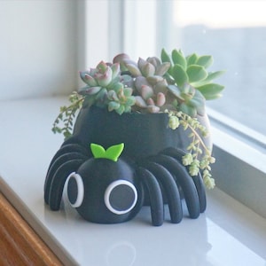 Cute Spider Planter / Pen Pencil Holder, Spider Bug Succulent Planter, Biology Science Gift, Insect 3D Print, Adorable Arachnid Plant Pot