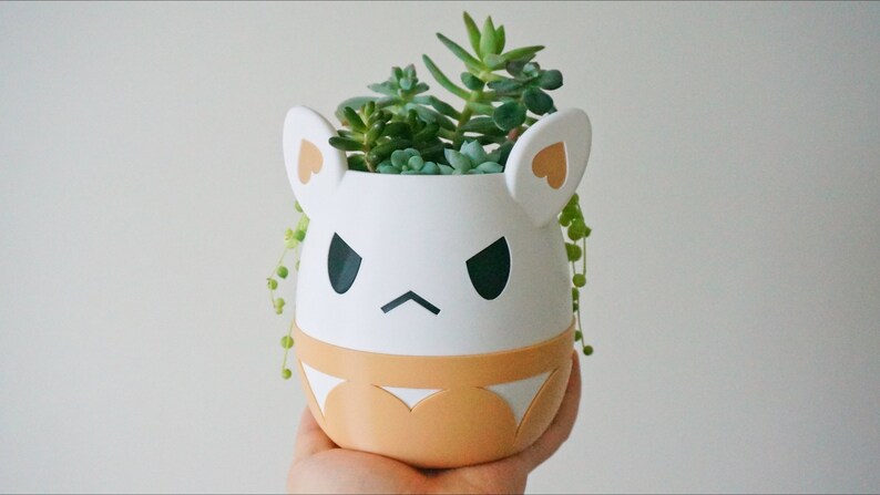 May include: White ceramic planter shaped like a cartoon animal with brown ears and a grumpy face. The planter is filled with green succulents.
