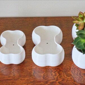 May include: Four white ceramic planters shaped like a bone, with the largest planter holding a variety of succulents.
