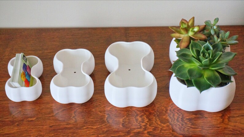 May include: Four white ceramic planters shaped like a bone, with the largest planter holding a variety of succulents.