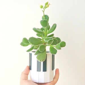 Piano Keys Planter / Pen Pencil Holder Pianist Succulent Planter Orchestra Gift for Pianist Musician Gift Music Desk Decor Minimalist image 5