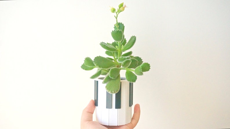 Piano Keys Planter / Pen Pencil Holder Pianist Succulent Planter Orchestra Gift for Pianist Musician Gift Music Desk Decor Minimalist image 5