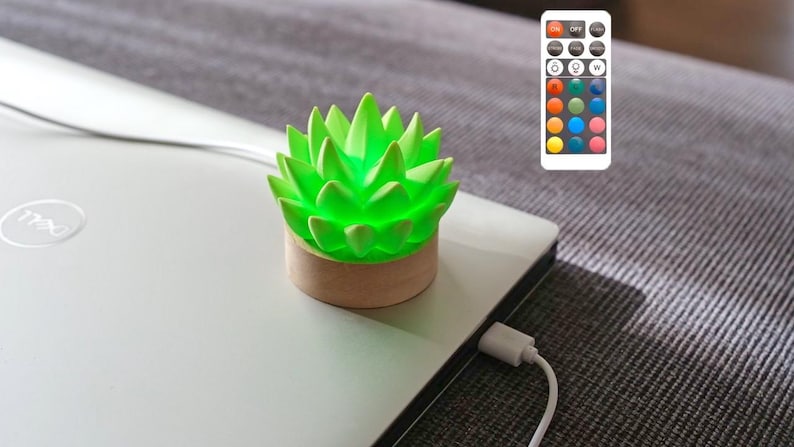K&ouml;nnte beinhalten: Eine gr&uuml;ne, sukkulentenf&ouml;rmige LED-Lampe mit Holzsockel, die ein hellgr&uuml;nes Leuchten ausstrahlt. Die Lampe befindet sich auf einem Laptop, der &uuml;ber ein wei&szlig;es Ladekabel angeschlossen ist. Eine Fernbedienung mit Farboptionen ist ebenfalls sichtbar.