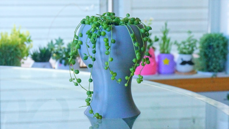 May include: A gray ceramic pot with a unique shape, holding a green string of pearls plant with long trailing vines.