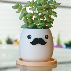 May include: A white ceramic planter shaped like an egg with a black mustache and eyes. The planter has a light orange saucer and is filled with a green succulent plant.